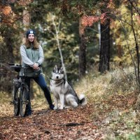 Autumn in the park :: Dmitry Ozersky