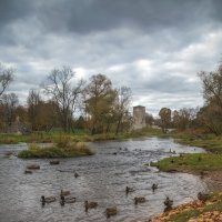 Осень. р.Пскова. :: Виктор Грузнов