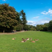 Wildpark, Düsseldorf :: Witalij Loewin