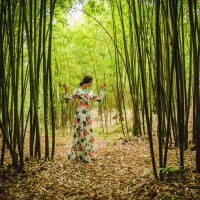 фотосессия в бамбуковом лесу :: Pavel Shardyko