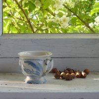 Чашка и чубушник :: Сергей Доспехов