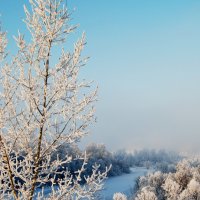 Воспоминания о зиме :: Марина Логачёва