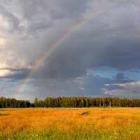 Солнечное отражение :: Диана Задворкина