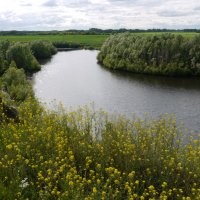 Река Тула :: Андрей Гамарник