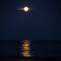 Лунная дорожка на море :: Сергей Тараторин