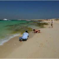Макросъемка на Райском острове в Египте. :: Наталья Портийо