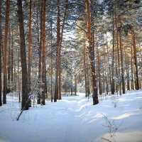 Зимаааа :: Полинка 