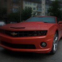 camaro :: Андрей Пилипенко