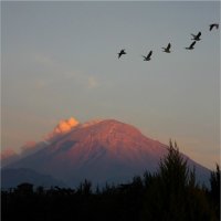 Действующий вулкан Popocatepetl. Мексика :: Наталья Портийо