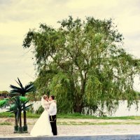 Weeding day :: Александр Воронов