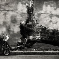 Старик и дерево :: Nataliya Kostromina