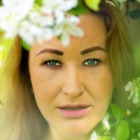 Весна :: Оксана Жилянина 