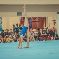 Спортивная гимнастика :: Anastasia Silver
