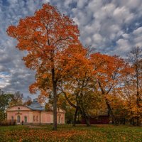 Октябрь :: Владимир Колесников