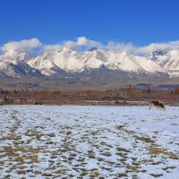 Улус у самых гор :: Анатолий Иргл