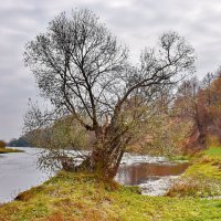 Поздняя  осень. :: Валера39 Василевский.