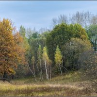 *** :: Александр Лихачёв