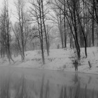 Выпал снег :: Радмир Арсеньев