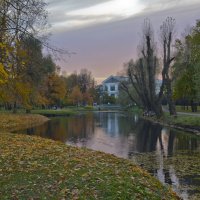 Вечером в Таврическом саду :: Наталия П