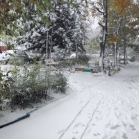 Первый снег в Железноводске :: Мария Климова