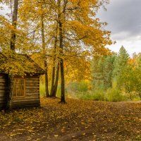 Осень на Снежети :: Лариса Березуцкая