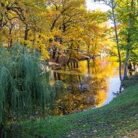 Осень в парке :: Cтанислав Анатольевич Курбатов