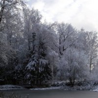 Первый снег :: Liubov Garkusha