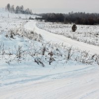 Дорога уходит в даль! :: Радмир Арсеньев