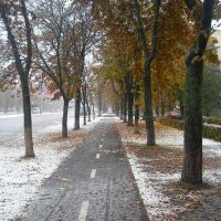 первый снег :: Евгений Гузов