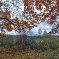 Поздняя осень :: Николай Андреев