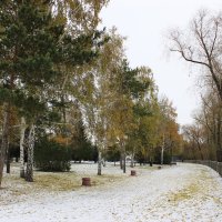 А вот и зима! :: раиса Орловская