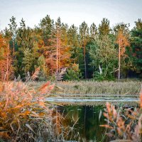 Гуселетовские озера :: Лариса Димитрова