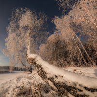 ***** :: Дамир Белоколенко