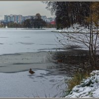 Ноябрь 2016 :: Владимир Белов