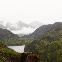 Бавария вблизи замка  Нойшванштайна :: Bogdan Snegureac