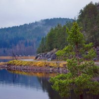 ...дорога... :: Ольга Cоломатина