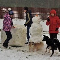 Забава со снегом :: Николай Масляев