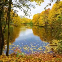 Парковый пруд в конце октября :: Маргарита Батырева