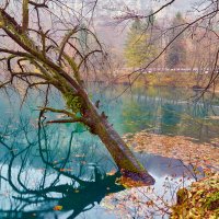 Осень на голубом озере. КБР. :: Николай Николенко