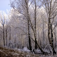 хакасия :: Евгений 