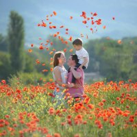 Краски Крыма :: Наталья Паленичка