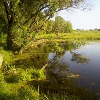 Родное, но многими забытое( :: Алла Новикова (Качуро)