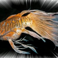 Золотая Рыбка :: Alexander Dementev