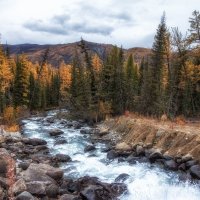 река Тюнь :: Галина Шепелева