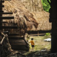 Sumba island.Сountry boy. :: Alexander Romanov (Roalan Photos)