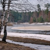 Весенний пейзаж :: Валерий Толмачев