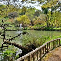Нагоя ботанический сад Higashiyama :: wea *