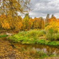 Осень на Партизанской поляне :: Лариса Березуцкая