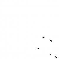 люди как птицы,куда-то летят и не долетают... :: Ксения Забара