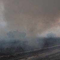 Дым-туман :: Роман Скоморохов